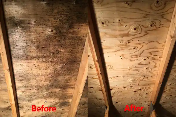 water damage restoration service East Tawas